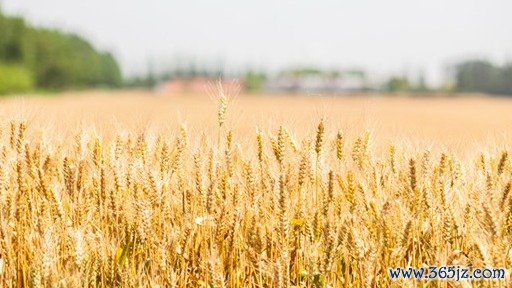 最低利息配资网 明星基金奖颁奖！中银基金中生代实力绽放