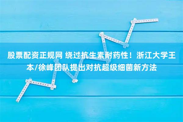 股票配资正规网 绕过抗生素耐药性！浙江大学王本/徐峰团队提出对抗超级细菌新方法